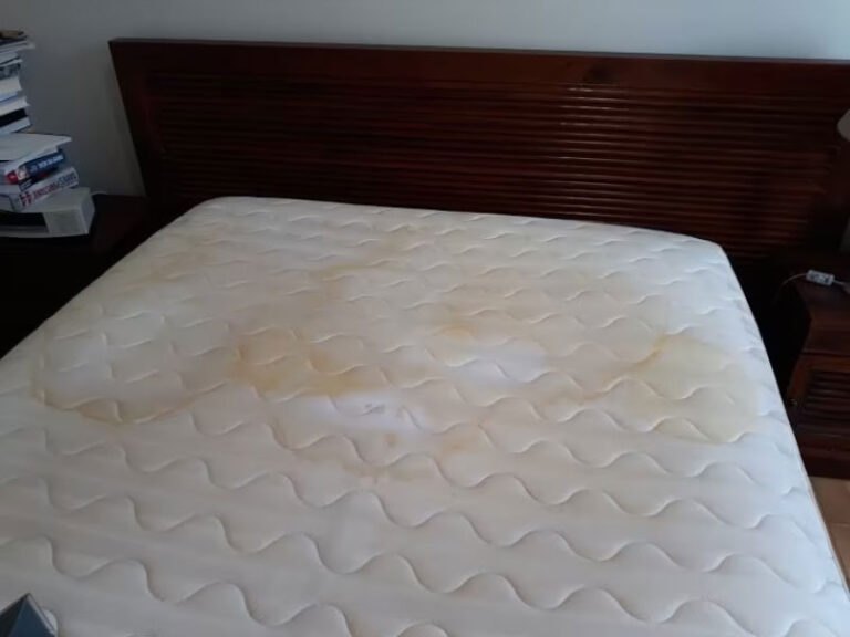 Firma Biały Słoń. Pranie tapicerki meblowej Warszawa - New 20180330104334-w-1