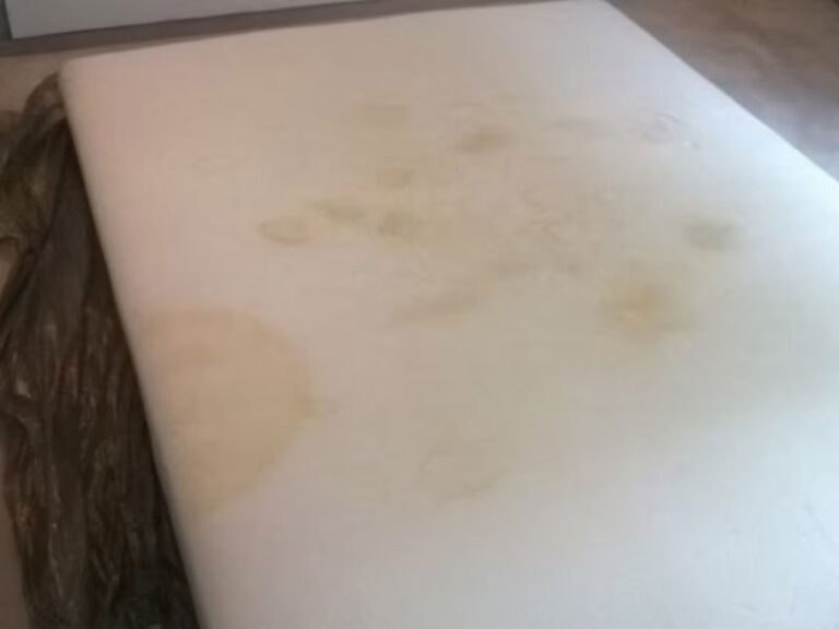 Firma Biały Słoń. Pranie tapicerki meblowej Warszawa - New Wp20151202001-w-1200